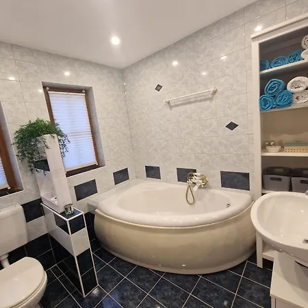 Family House Am Hallstaettersee * バート・ゴイーザーン