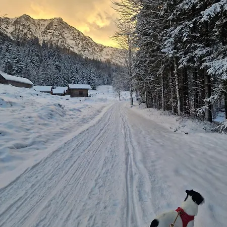 Family House Am Hallstaettersee * バート・ゴイーザーン