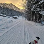 Family House Am Hallstaettersee * Bad Goisern