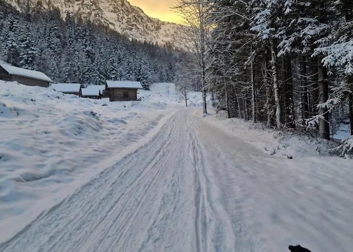 Family House Am Hallstaettersee * باد غويسرن
